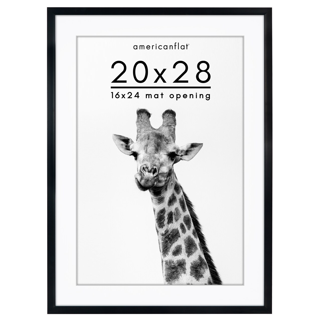 Americanflat Gallery-Style Picture Frame with Mat - Showcase Artwork, Prints, and Photos - Shatter Resistant Glass - Hanging Hardware with Drywall Anchor